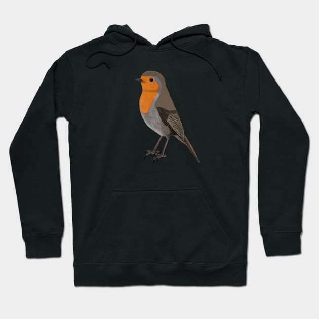 Robin Bird Watching Birding Ornithologist Gift Hoodie by jzbirds